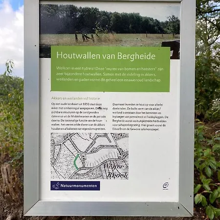Bergheide *