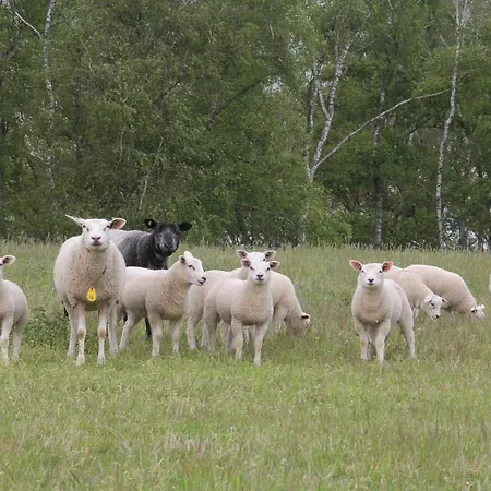 Bergheide Appartement *