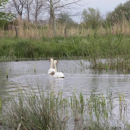 Lägenhet Bergheide Baexem