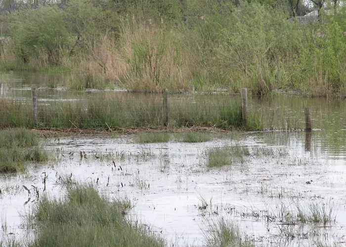 Апартаменты Bergheide *