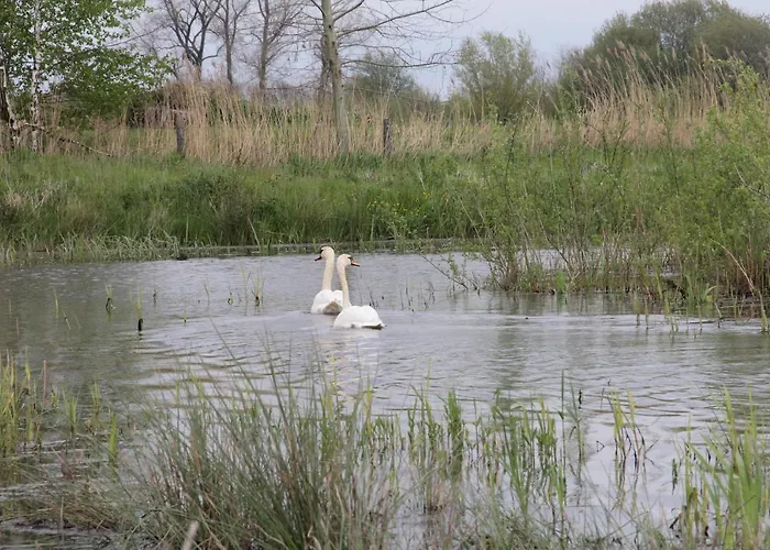דירה Bergheide באקסם
